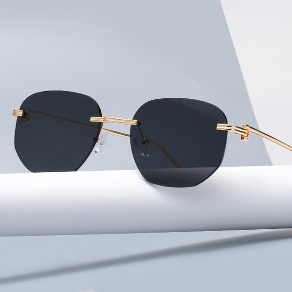 Stunning Small Frame Trimming Sunglasses for Women